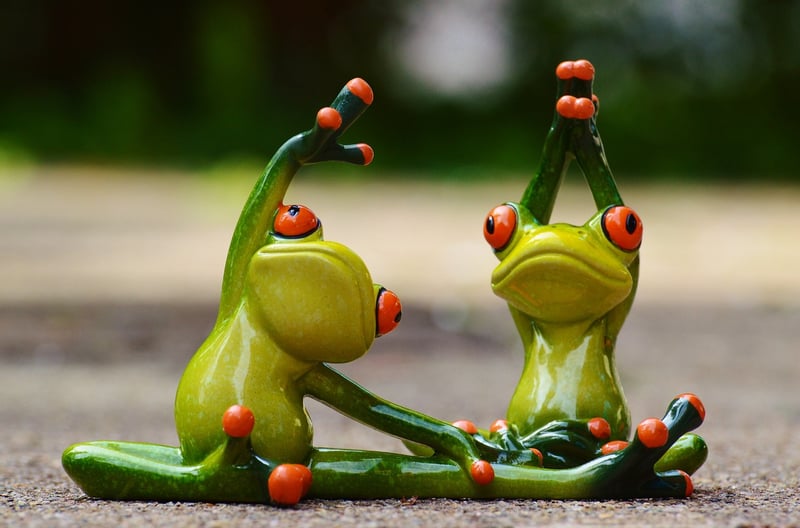 Balance & Stability Exercises